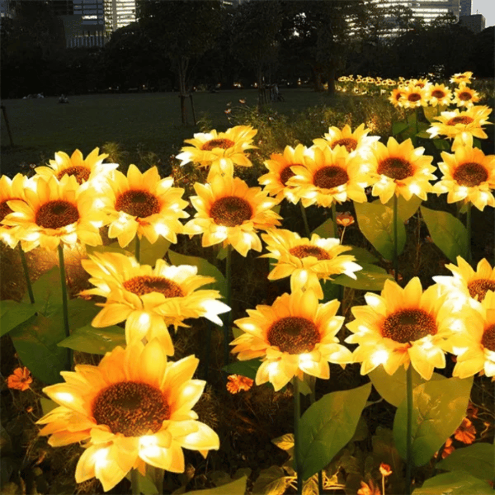 Sunflowy - Tournesol solaire magique